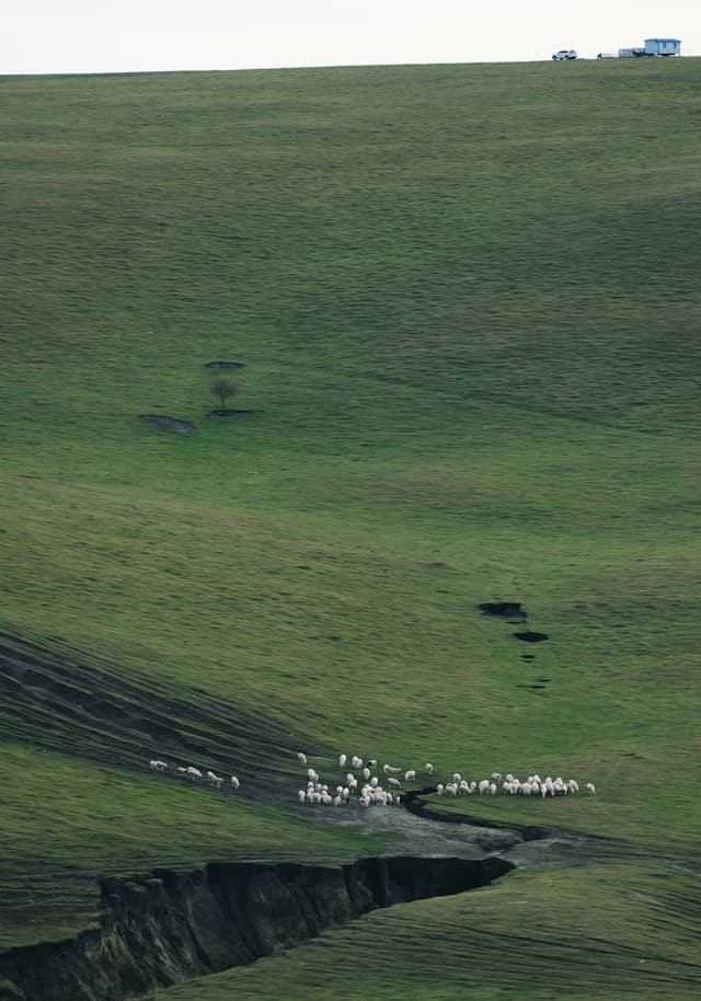 Paysages de Mongolie